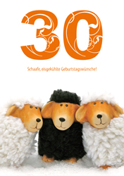 Doppelkarte - 30 | Schaafe