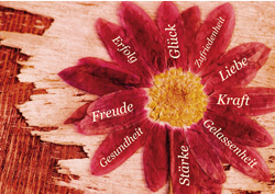 World Vision DK - Blume