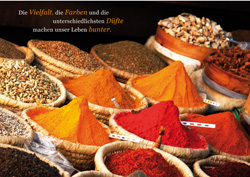 World Vision DK - Farben