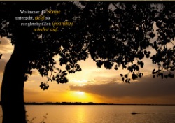 World Vision DK - Sonne