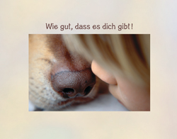 Double Card - Wie gut