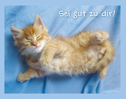 Double Card - Katze