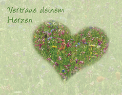 Double Card - Herz
