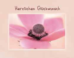 Double Card - Glückwunsch