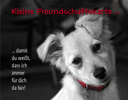 Double Card - Freundschaftskarte