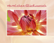 Triple Card - Glückwunsch