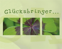 Triple Card - Glückbringer