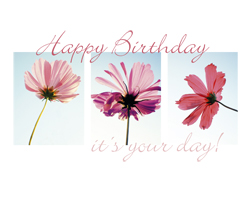 Triple Card - Happy Brithday