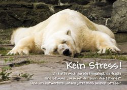 Postkarte - Kein Stress