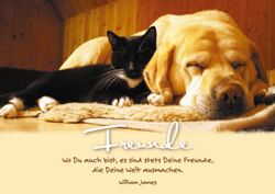 Postkarte - Freunde