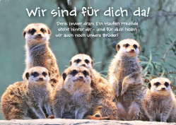 Postkarte - Wir sind für dich da!