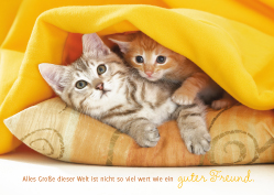 Postkarte - Guter Freund