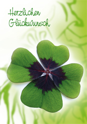 Maxi Card -Herzlichen Glückwunsch
