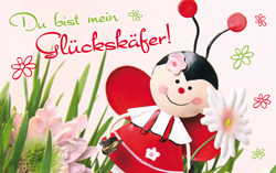 Pocket Card - Glückskäfer