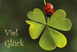 Minicard - Viel Glück