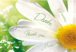 Mini Card - Danke