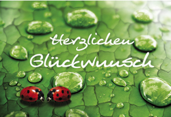 Mini Card - Herzlichen Glückwunsch
