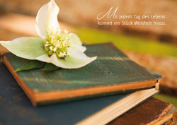 Postkarte - Mit jedem Tag