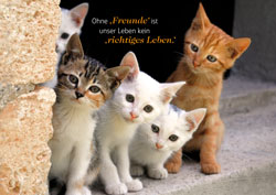 Postkarte - Freunde