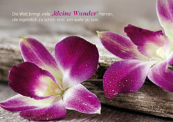 Postkarte - Kleine Wunder