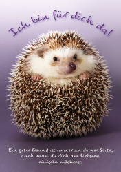 Postkarte - Igel