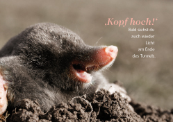 Postkarte - Kopf hoch