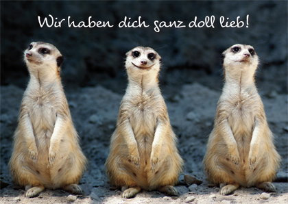 Wir haben dich ganz doll lieb