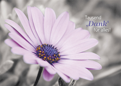 Tausend Dank