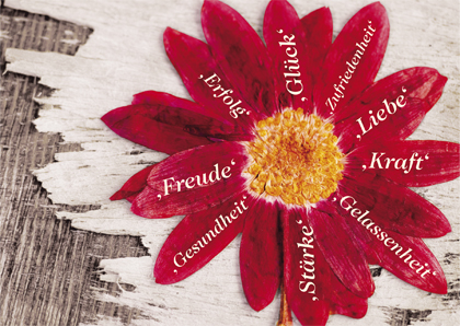 Blume