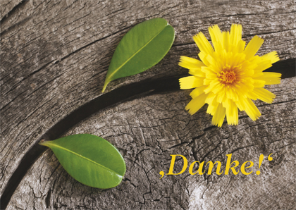 Danke